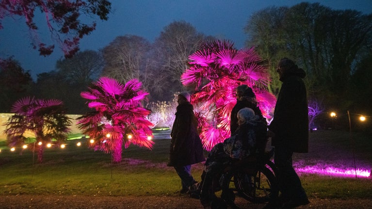 Three people walking and one using a wheelchair to visit the Winter Lights at Trengwainton Garden